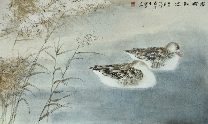 花鸟鱼虫