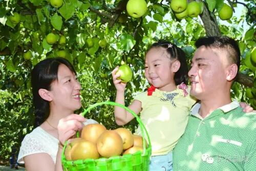 丰收卷里,探访盐都龙冈生态旅游发展之秘--盐都