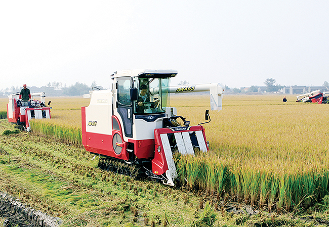 盐都科技农场|盐都七星现代化农场
