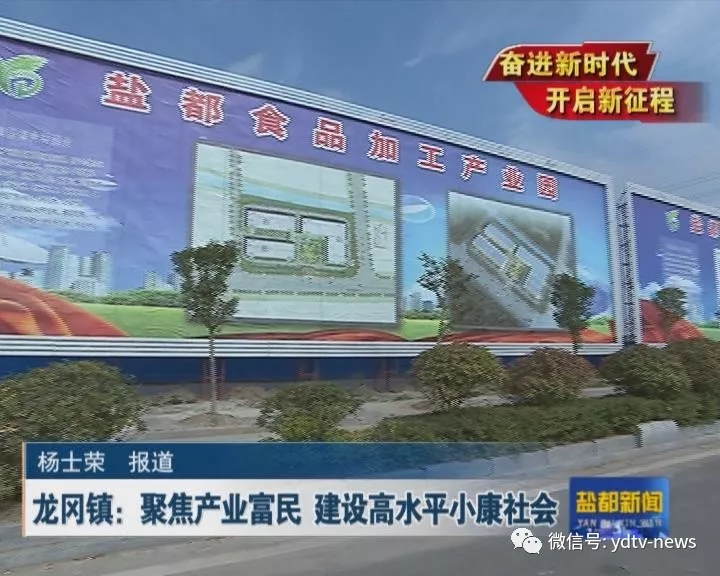 龙冈镇人口_盐城市龙冈镇老照片