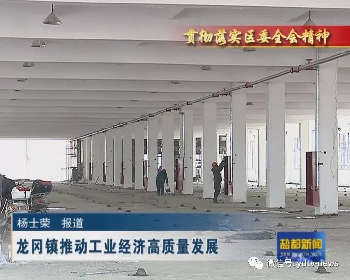 吉林和龙经济总量_肌肉兽人和龙人基佬图(3)