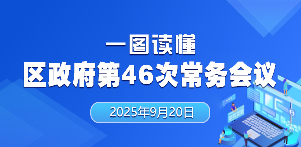 一图读懂区政府第46次常务会议