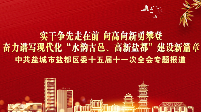 中共盐城市盐都区委十五届十一次全会专题报道