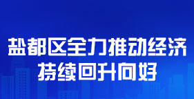 盐都区全力推动经济持续回升向好