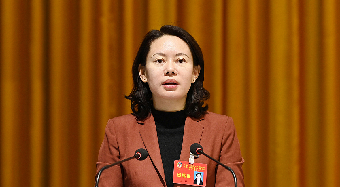 王娟在政协盐都区十五届一次会议上讲话