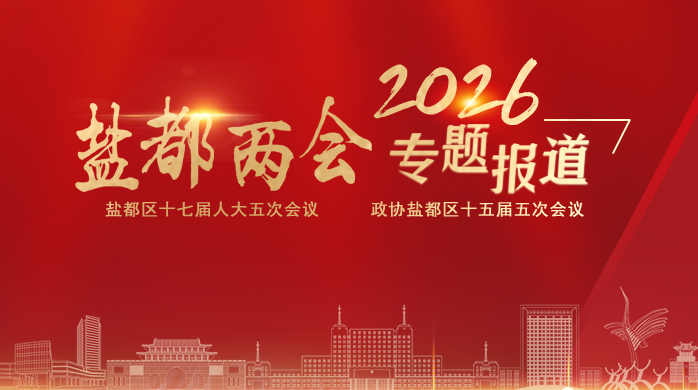 2026盐都两会专题报道