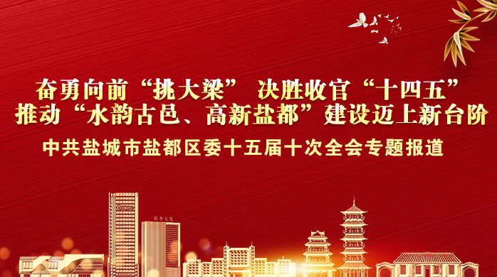 中共盐城市盐都区委十五届十次全会专题报道