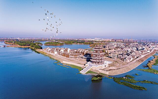 盐城市盐都区人民政府 图片新闻 鸟儿的天堂——大纵湖旅游度假区