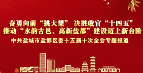 中共盐城市盐都区委十五届十次全会专题报道