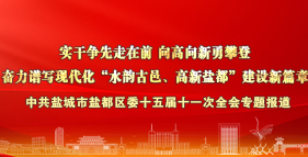 中共盐城市盐都区委十五届十一次全会专题报道