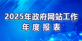 2025年政府网站工作年度报表